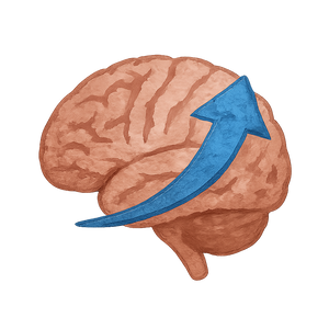 Sharpens Mental Clarity
