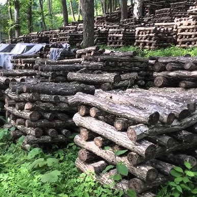 Grown Using Sustainable Agro Forestry