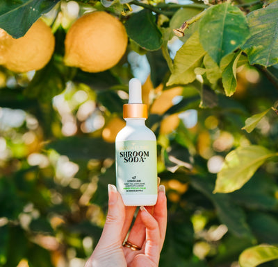 #flavors_lemon-lime