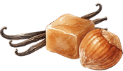 Café Trio Bundle